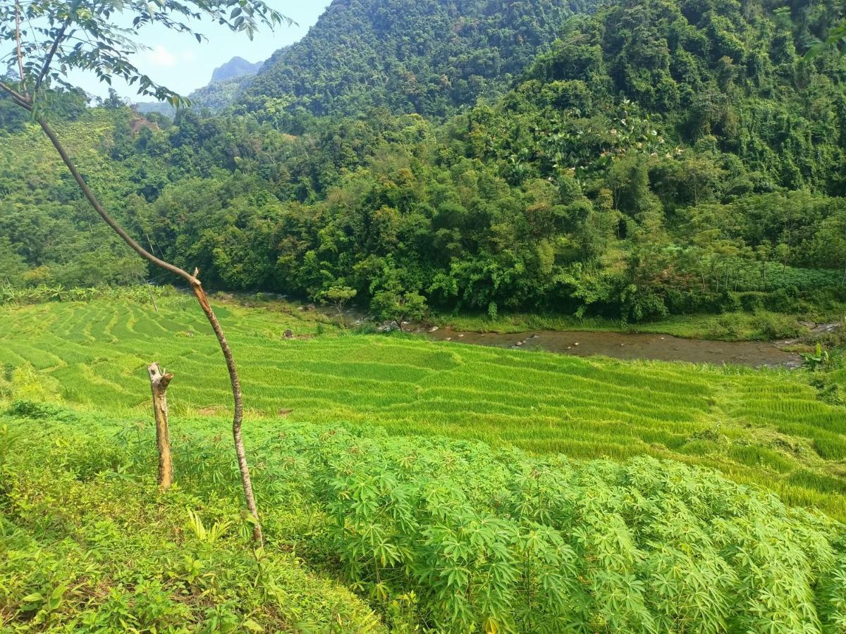 Pu Luong Puluong Homestay1Holiday מראה חיצוני תמונה